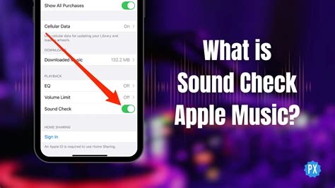 What Is Sound Check in Apple Music: A Detailed Exploration